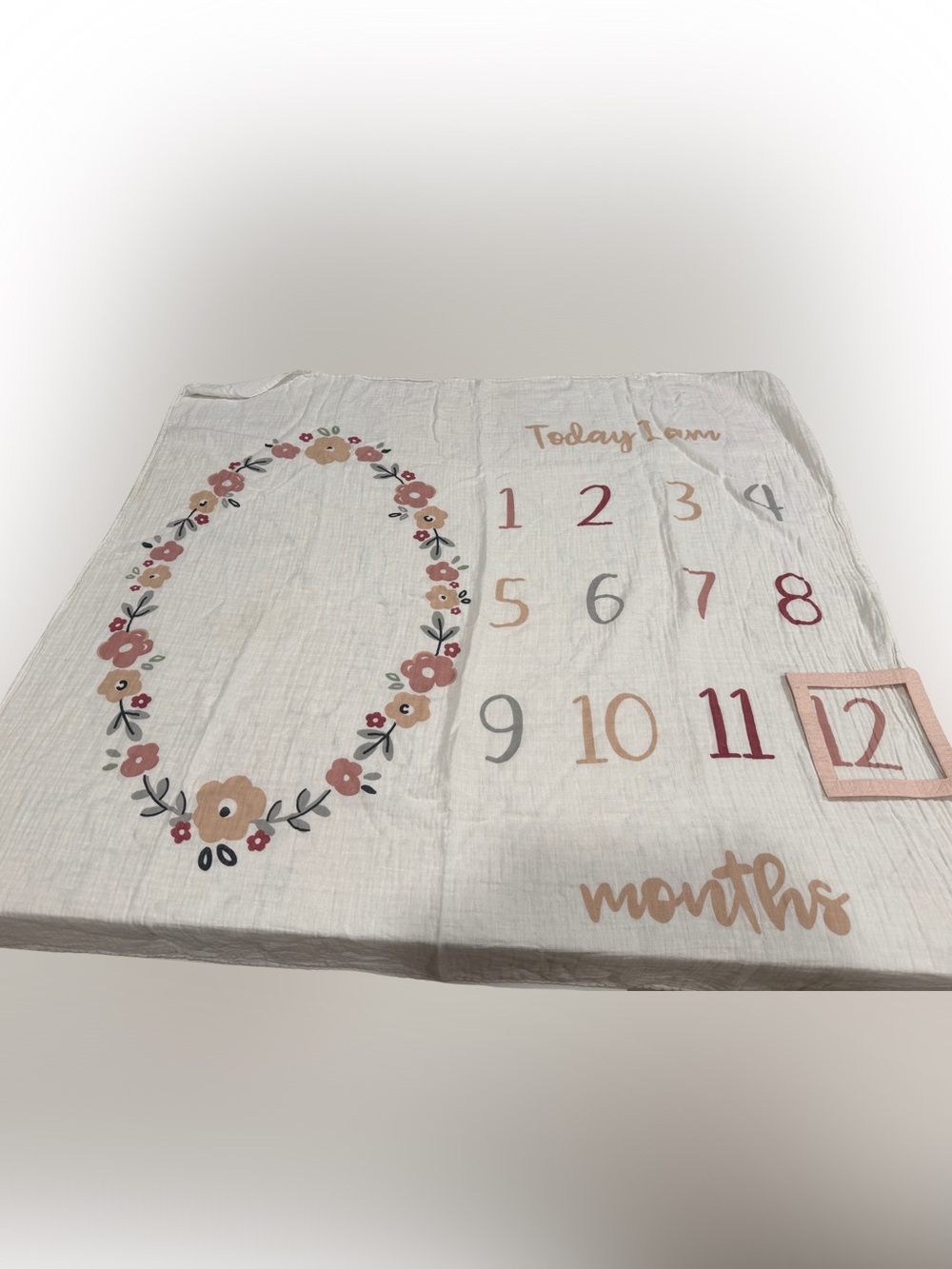 Neutral Pink Floral Milestone Baby Blanket - Monthly Photo Prop
